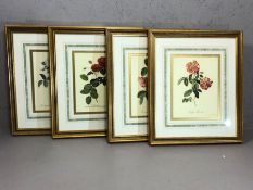 Collection of four framed limited edition botanical prints by The Victoria And Albert Museum, 'The