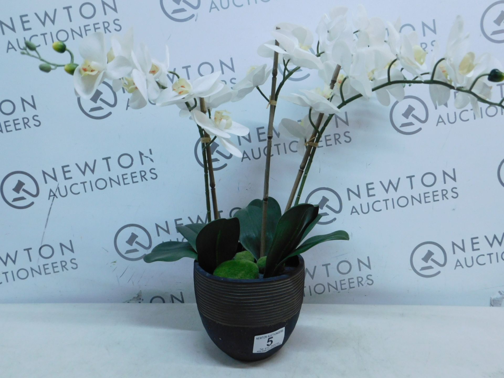 1 ARTIFICIAL PLANT WITH BASE RRP Â£79.99