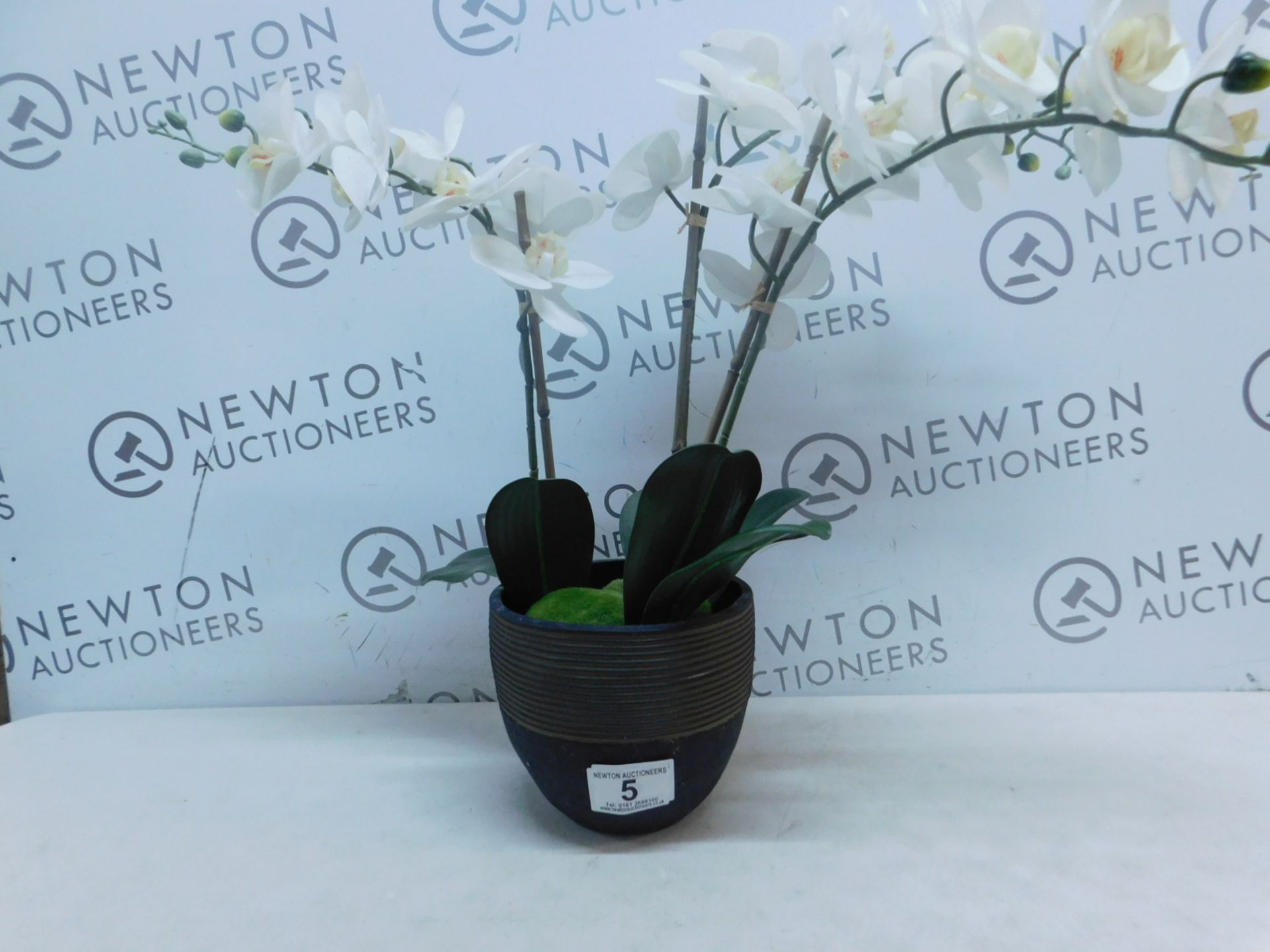 1 ARTIFICIAL PLANT WITH BASE RRP Â£79.99