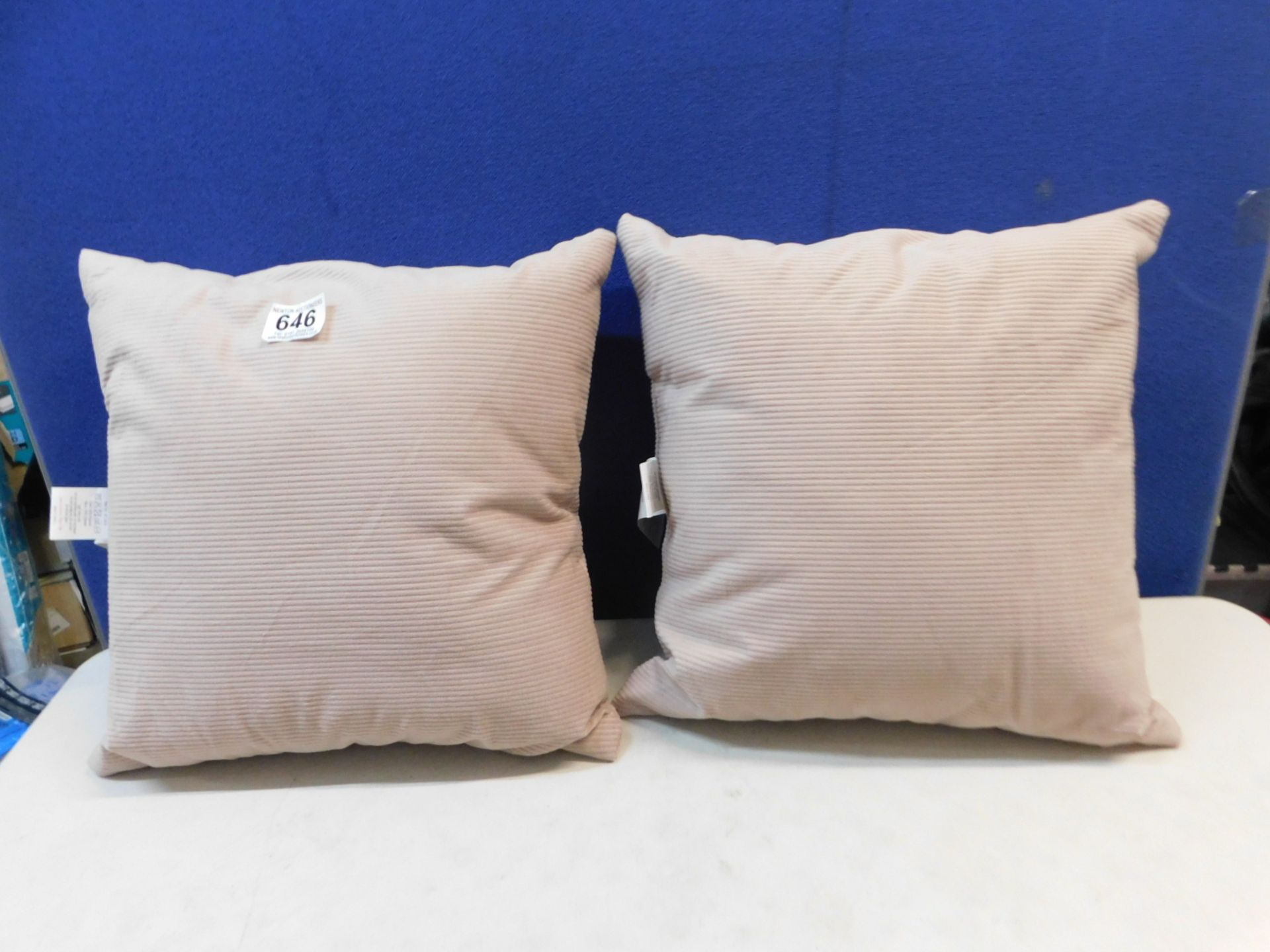 2 ARLEE HOME FASHION CUSHIONS RRP Â£19.99