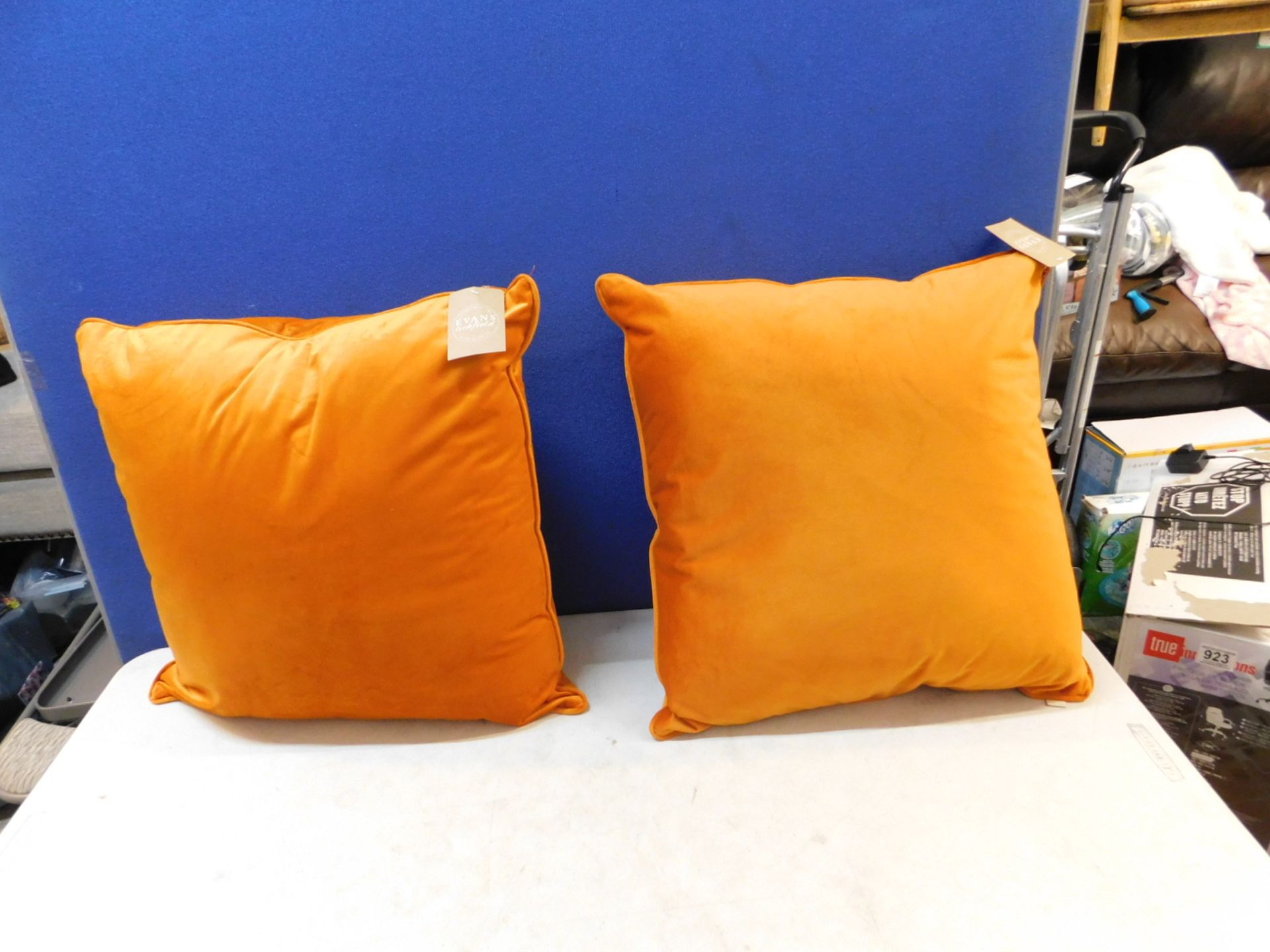 1 PAIR OF EVANS LICHFIELD CUSHIONS IN TANGERINE COLOUR (SIZE 55X55) RRP Â£59.99
