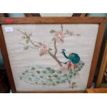 Framed silk embroidered panel of a Peacock climbing a bow of a tree with pink blossom