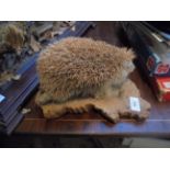 Hedgehog on wooden plinth