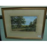 Framed watercolour by the local artist Peter Robinson of undulating hillside beside woodland path