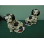 Pair of large black and white Spaniel male and female mantlepiece ornaments