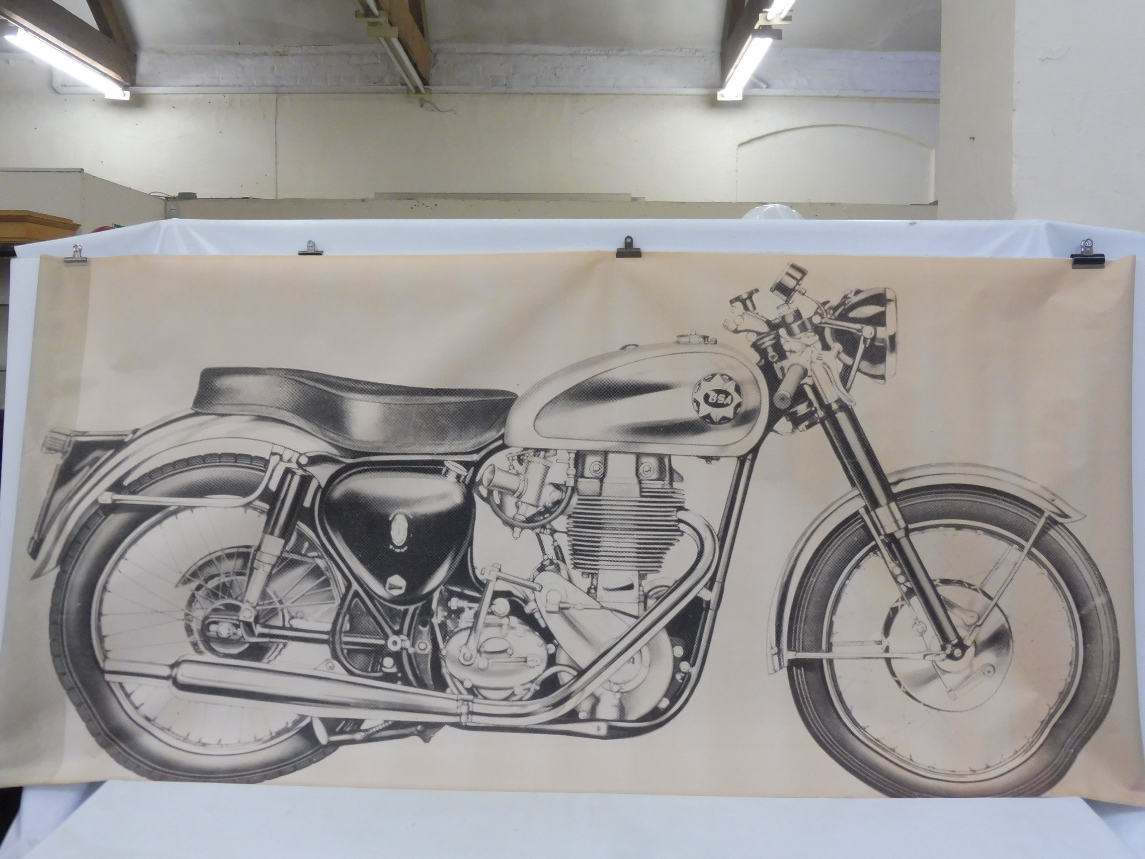 A very large scale study of a BSA, 89 3/4 x 42".
