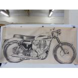 A very large scale study of a BSA, 89 3/4 x 42".