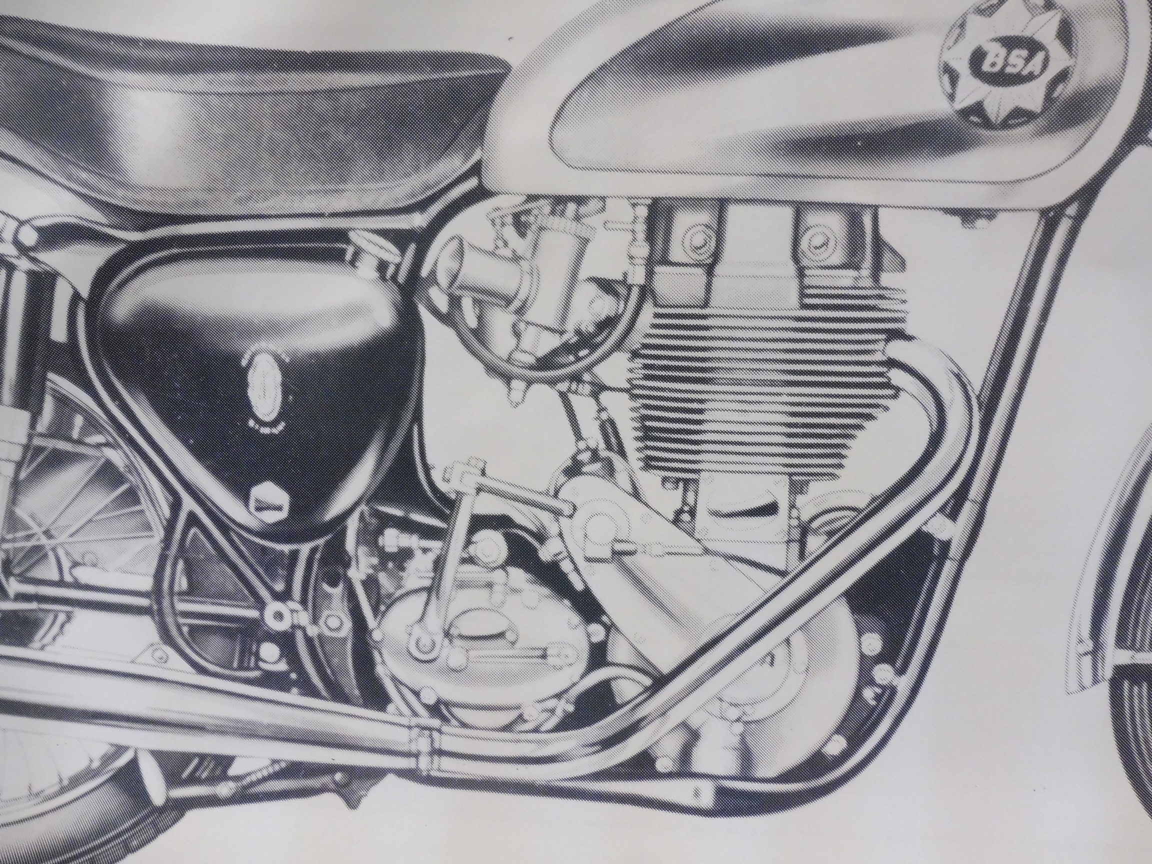 A very large scale study of a BSA, 89 3/4 x 42". - Image 2 of 4