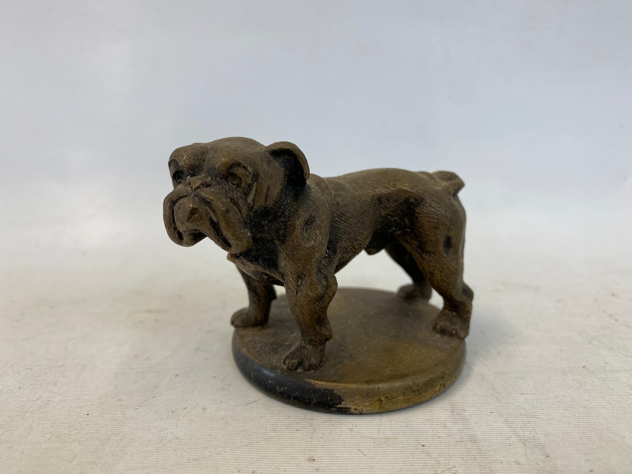A very well detailed brass accessory mascot in the form of a bulldog.