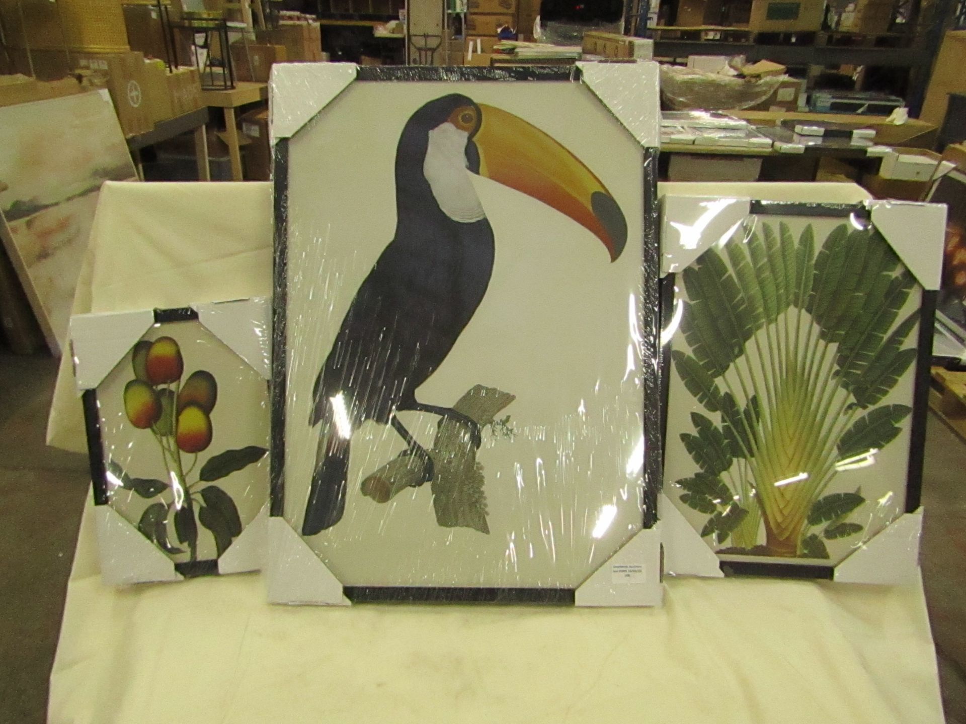 1 x Made.com Vintage Gallery Wall Toco Toucan from the Natural History Museum Set of 3 Framed Wall