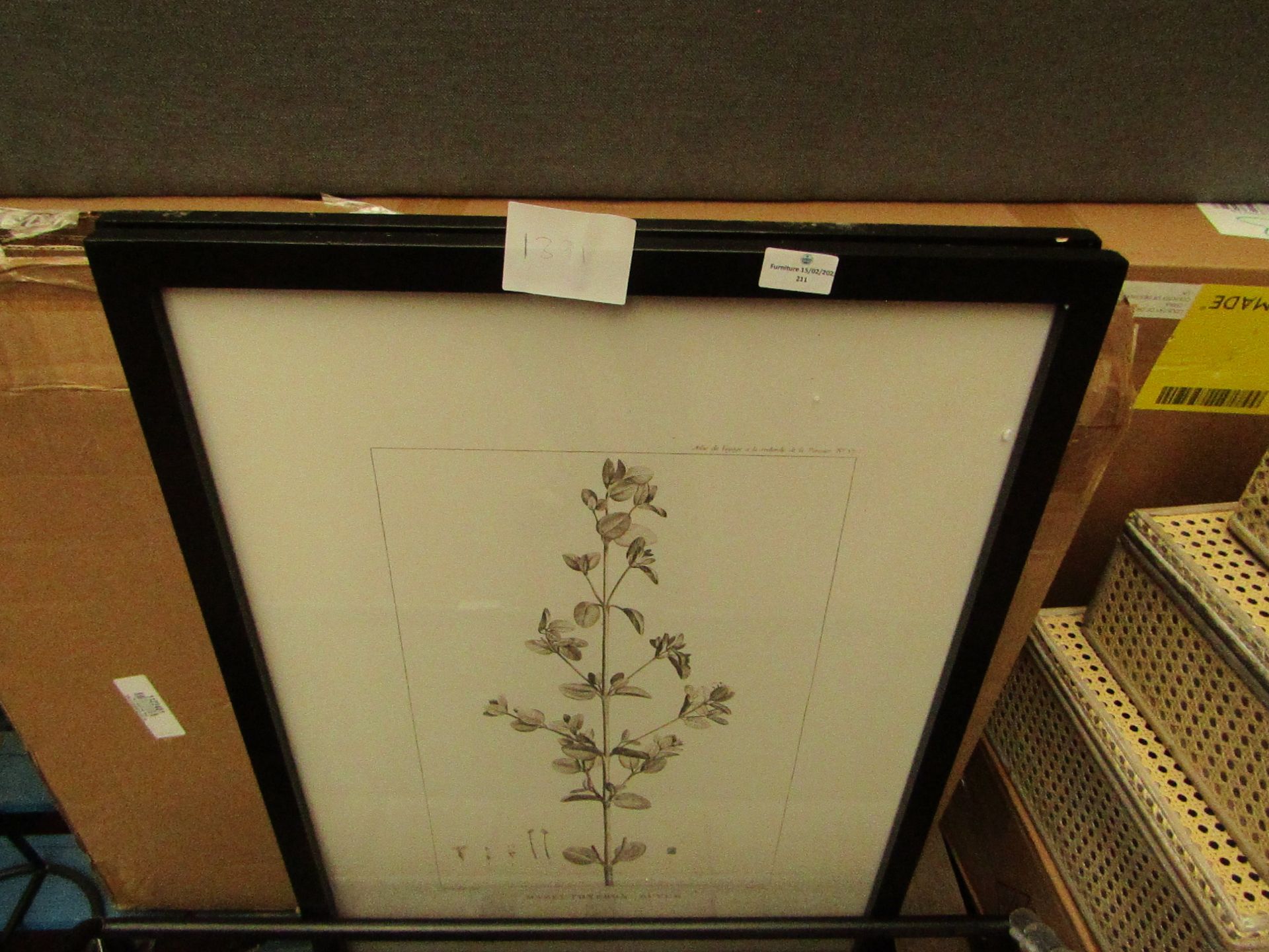 1 x Cox & Cox Two Framed Plant Prints RRP œ155.00 SKU COX-AP-1122401 TOTAL RRP œ155 This lot is a