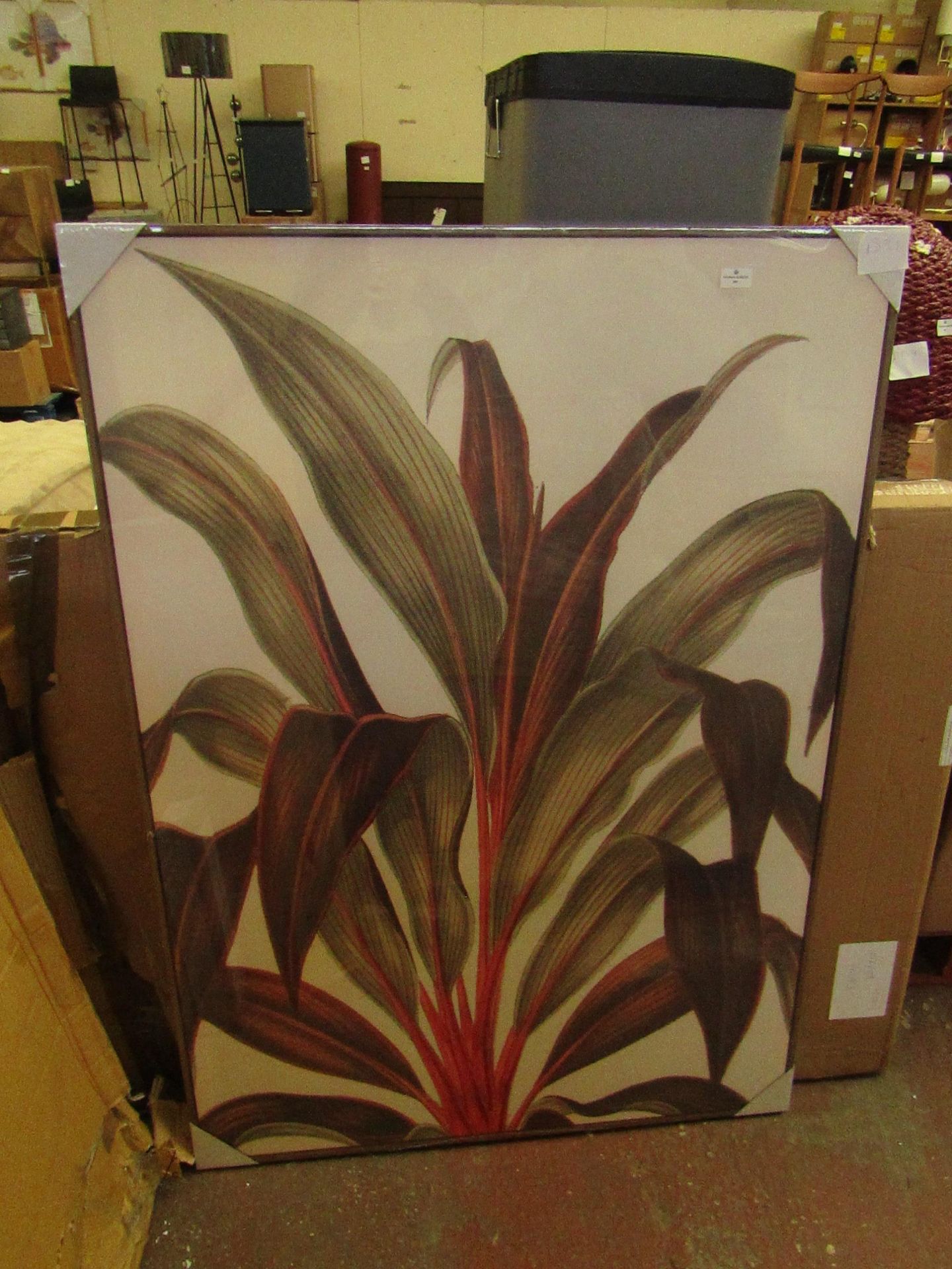 1 x Cox & Cox Hothouse Leaves Framed Canvas RRP œ175.00 SKU COX-AP-1128813 TOTAL RRP œ175 This lot