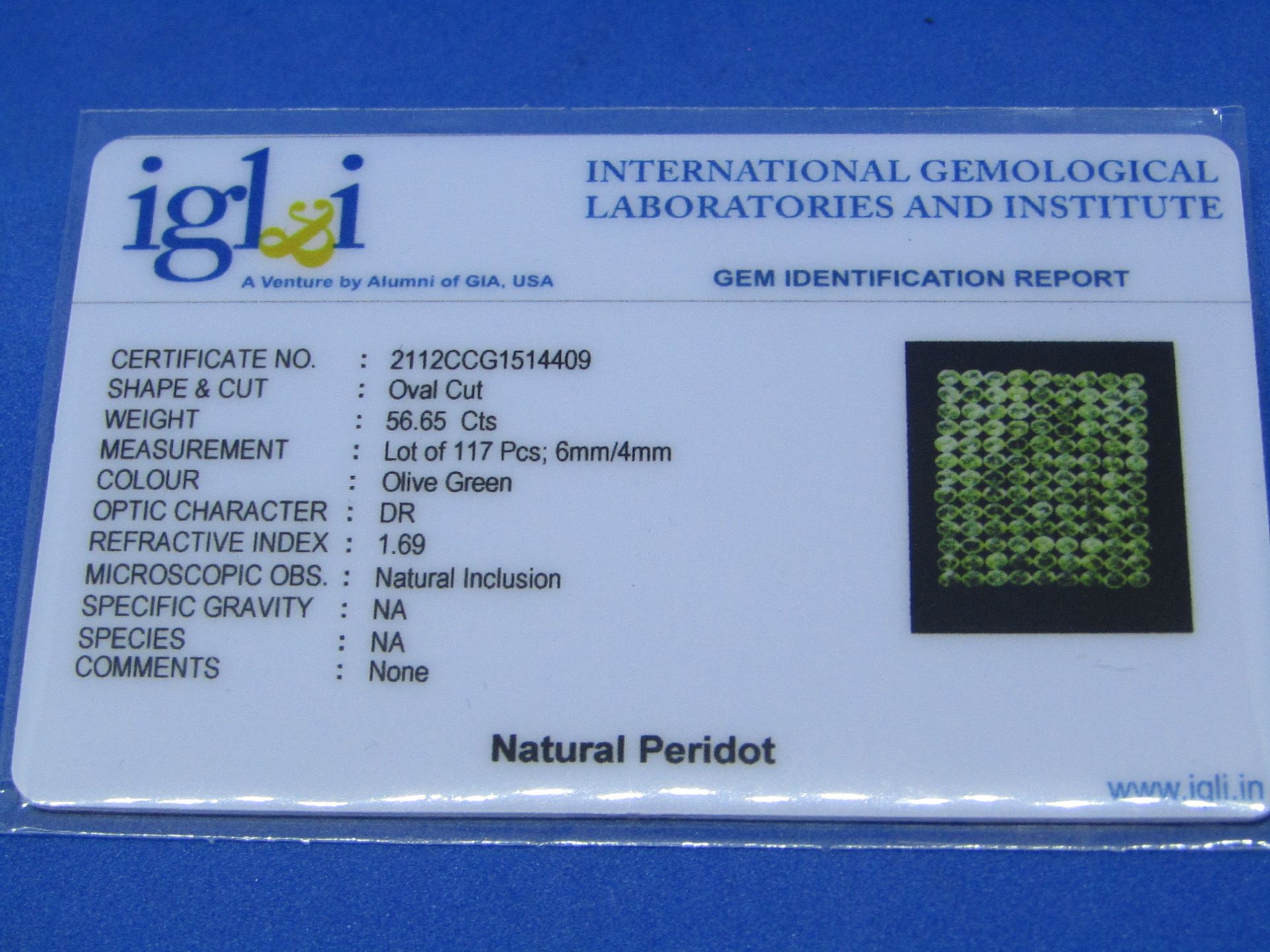 **No Buyers Commission on this lot ** IGL&I Certified Natural Peridot - 117 Pieces - 56.25 - Image 2 of 3