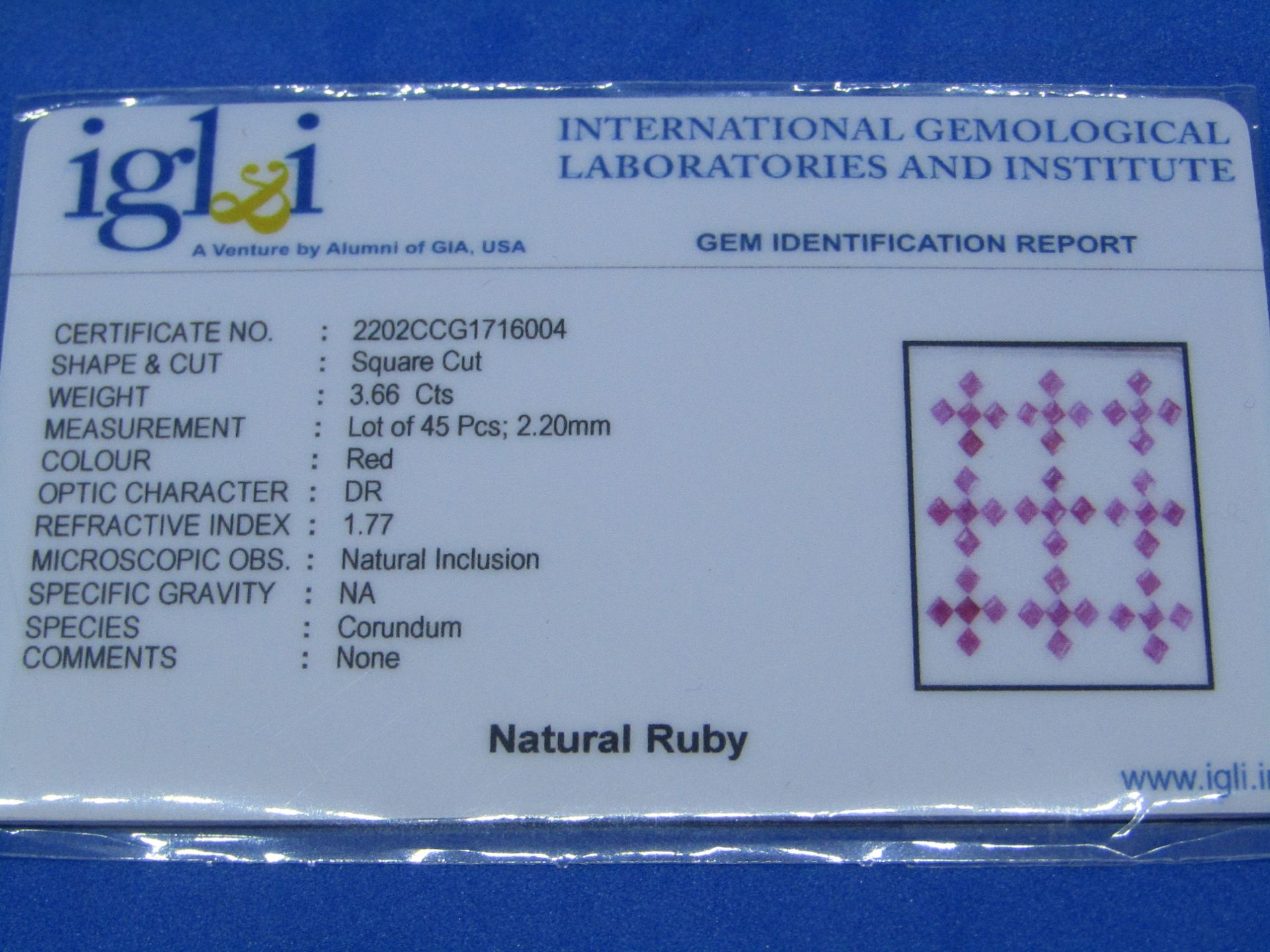 **No Buyers Commission on this lot ** IGL&I Certified Natural Ruby - (Unheated / Untreated) 45 - Image 2 of 3
