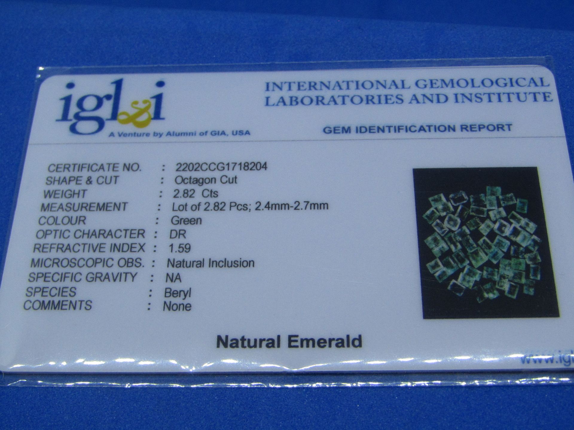 **No Buyers Commission on this lot ** IGL&I certified Natural Colombian Emeralds - 50 Pieces - 2. - Image 2 of 3