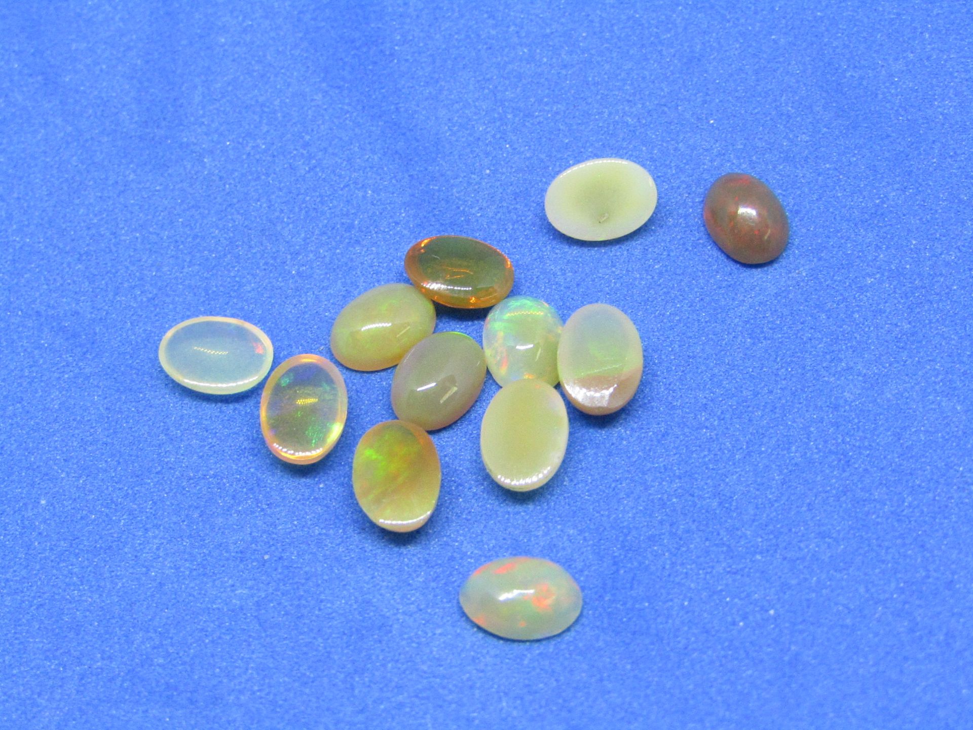 ** NO BUYERS COMMISSION ON THIS LOT ** Natural Ethiopian Opal -˜12 Pieces - 6.00 Carat Average