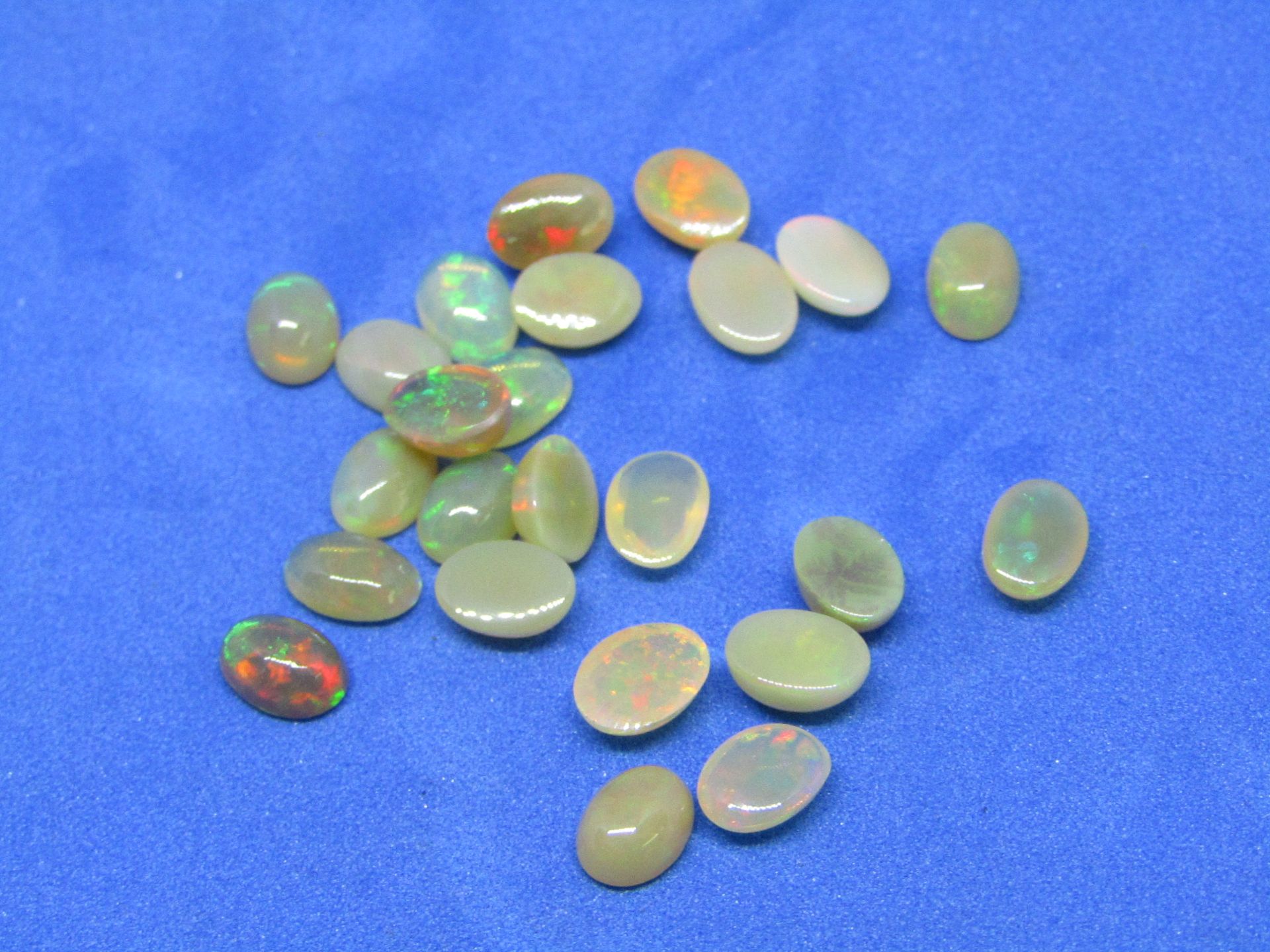 ** NO BUYERS COMMISSION ON THIS LOT ** Natural Ethiopian Opal - 12.00 Carat - 24 Pieces. Average