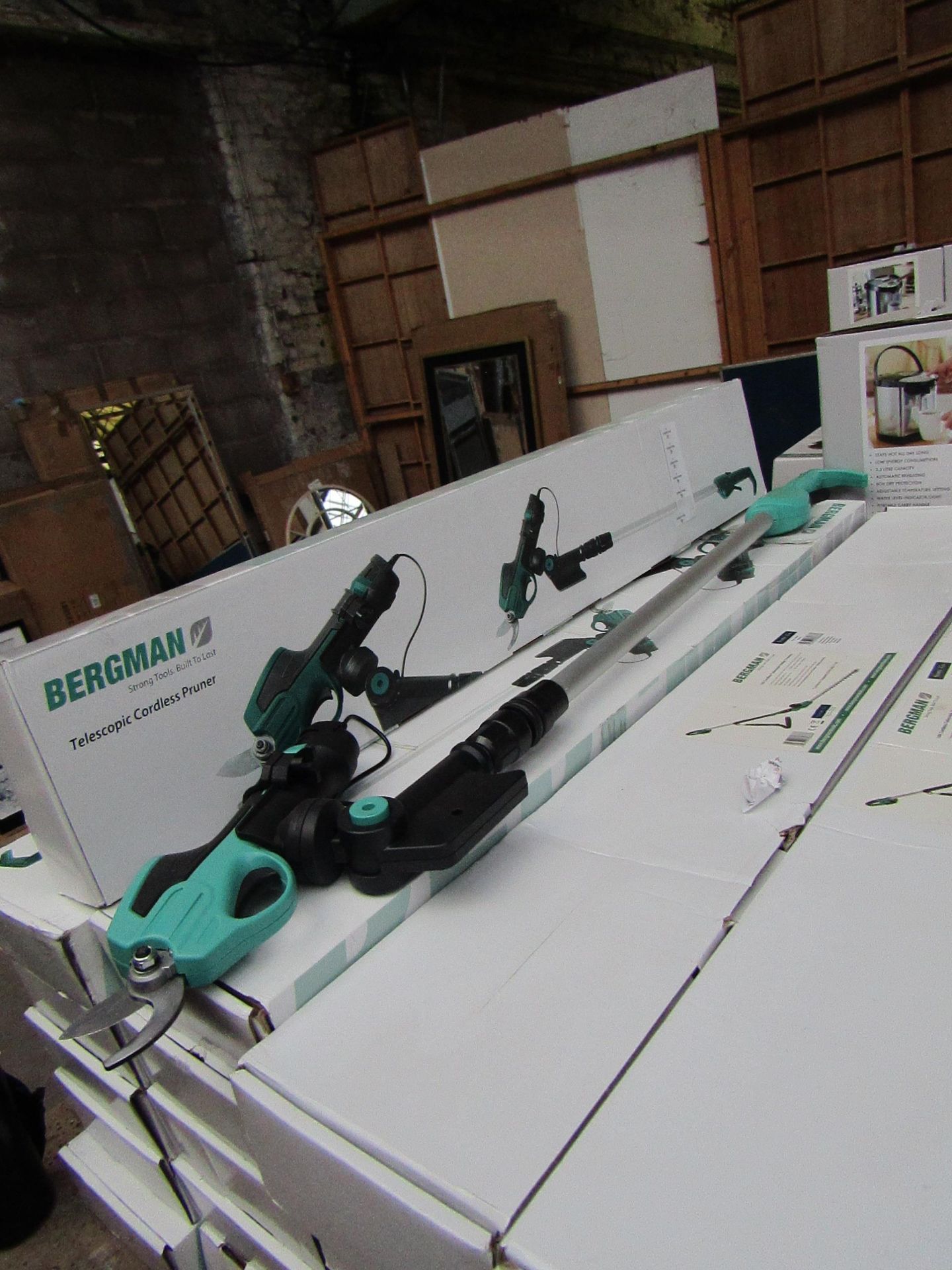 Bergman - Telescopic Cordless Pruner - Battery Included - New & Boxed. RRP £69.95