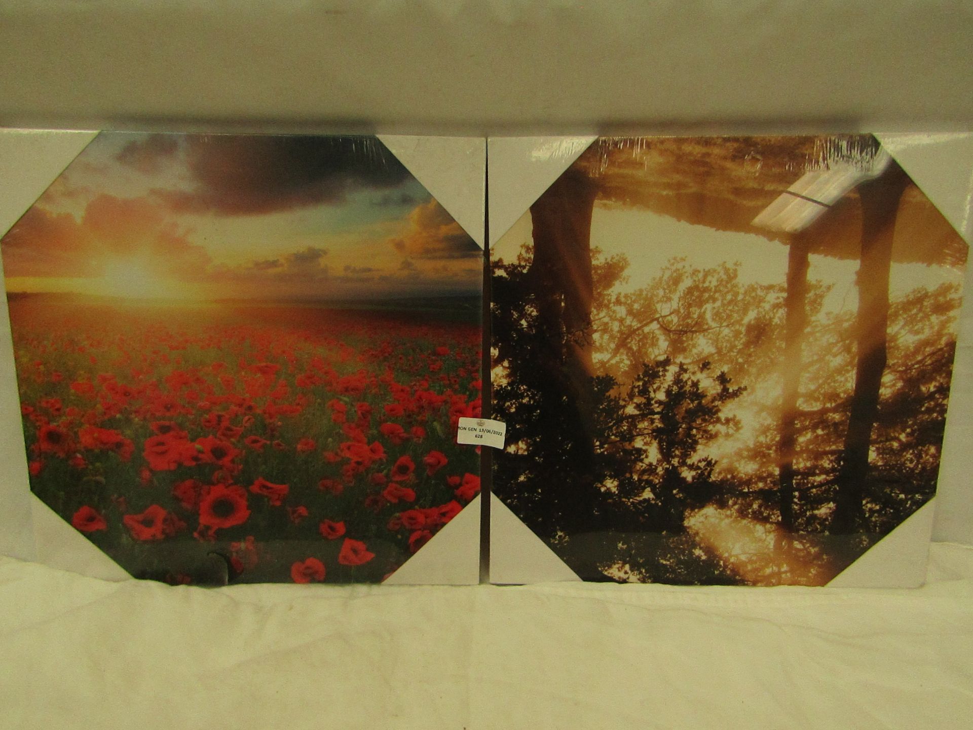 1x Woodlands Canvas - Unused & Packaged. 1x Field Of Poppies Canvas - Unused & Packaged.