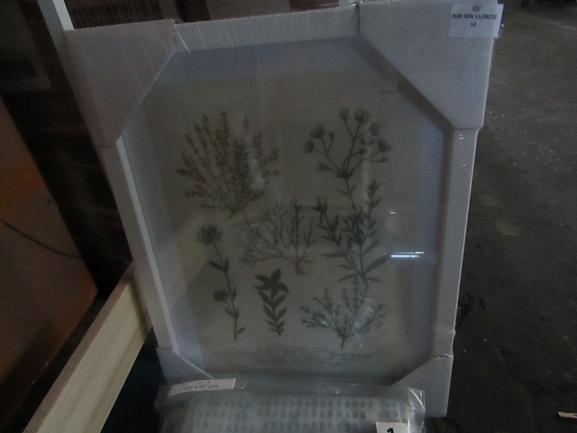 Botanical Alsine Framed Art ( 30x40cm ) - Unused.