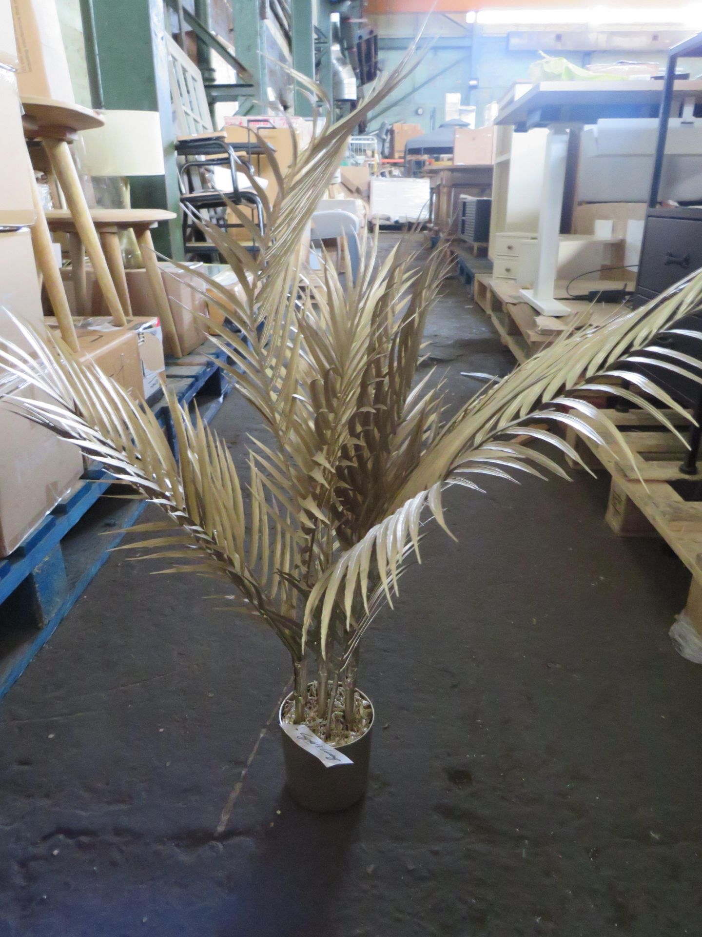 Rowen Group Brynn Medium Champagne Potted Palm Tree RRP Â£44.00 - This item looks to be in good