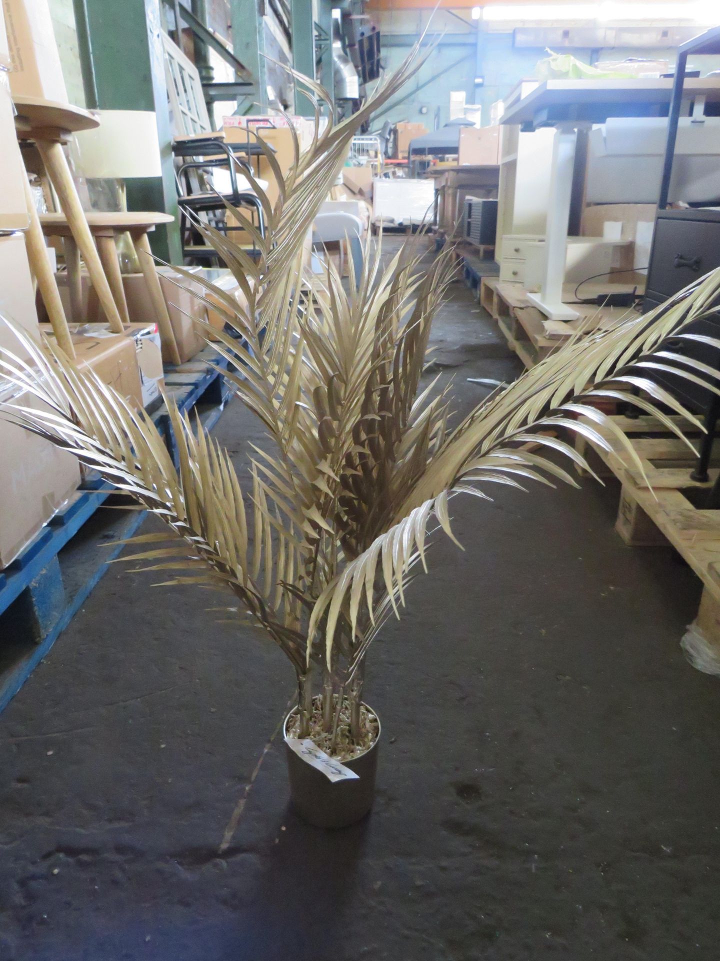 Rowen Group Brynn Medium Champagne Potted Palm Tree RRP Â£44.00 - This item looks to be in good