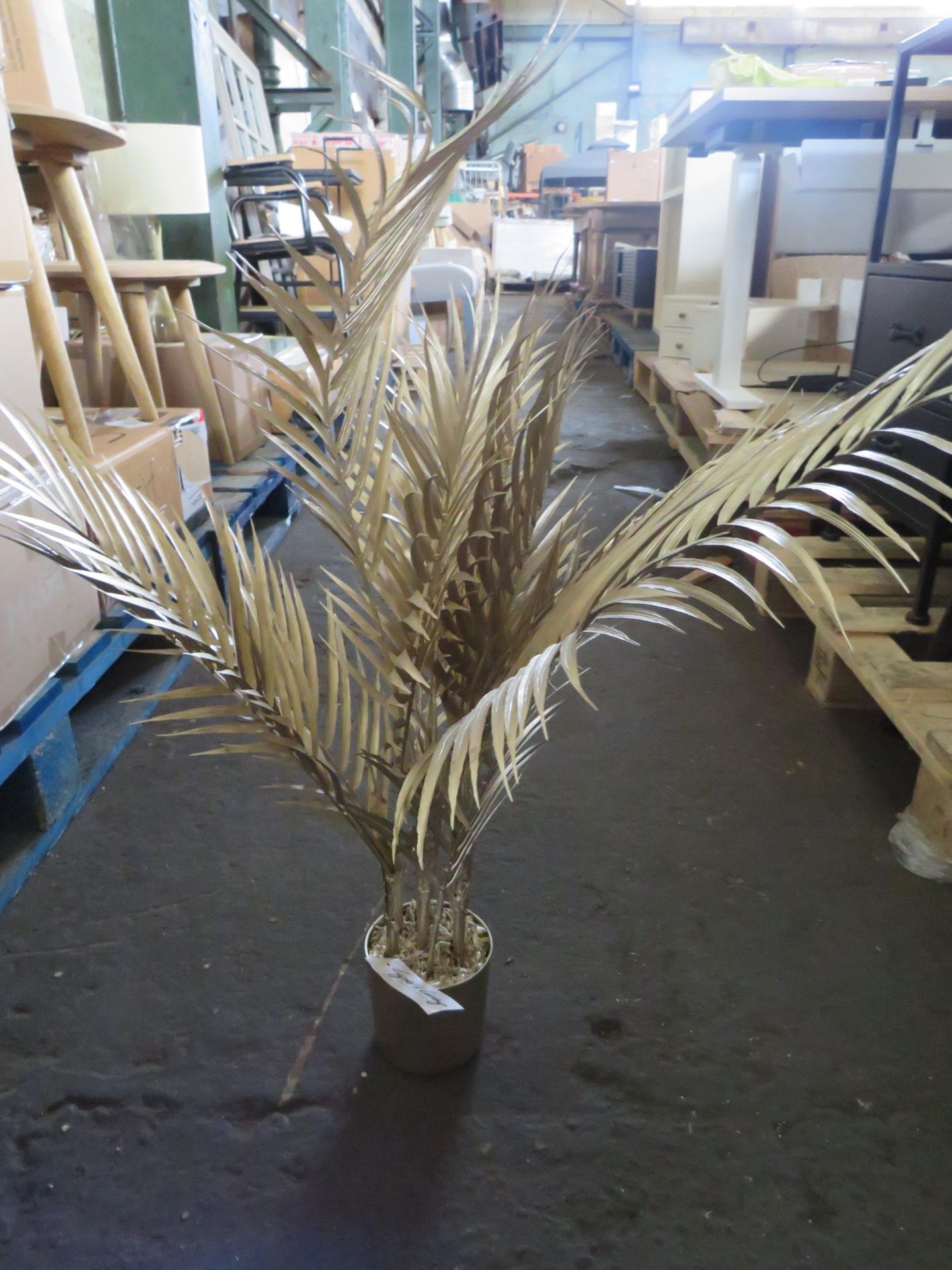 Rowen Group Brynn Medium Champagne Potted Palm Tree RRP Â£44.00 - This item looks to be in good