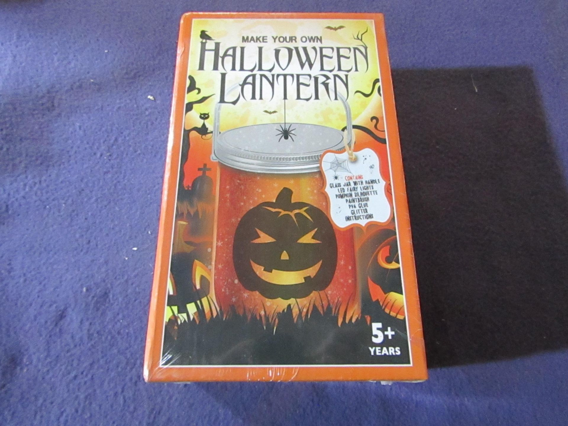 Make Your Own Halloween Lantern - Unused & Packaged.