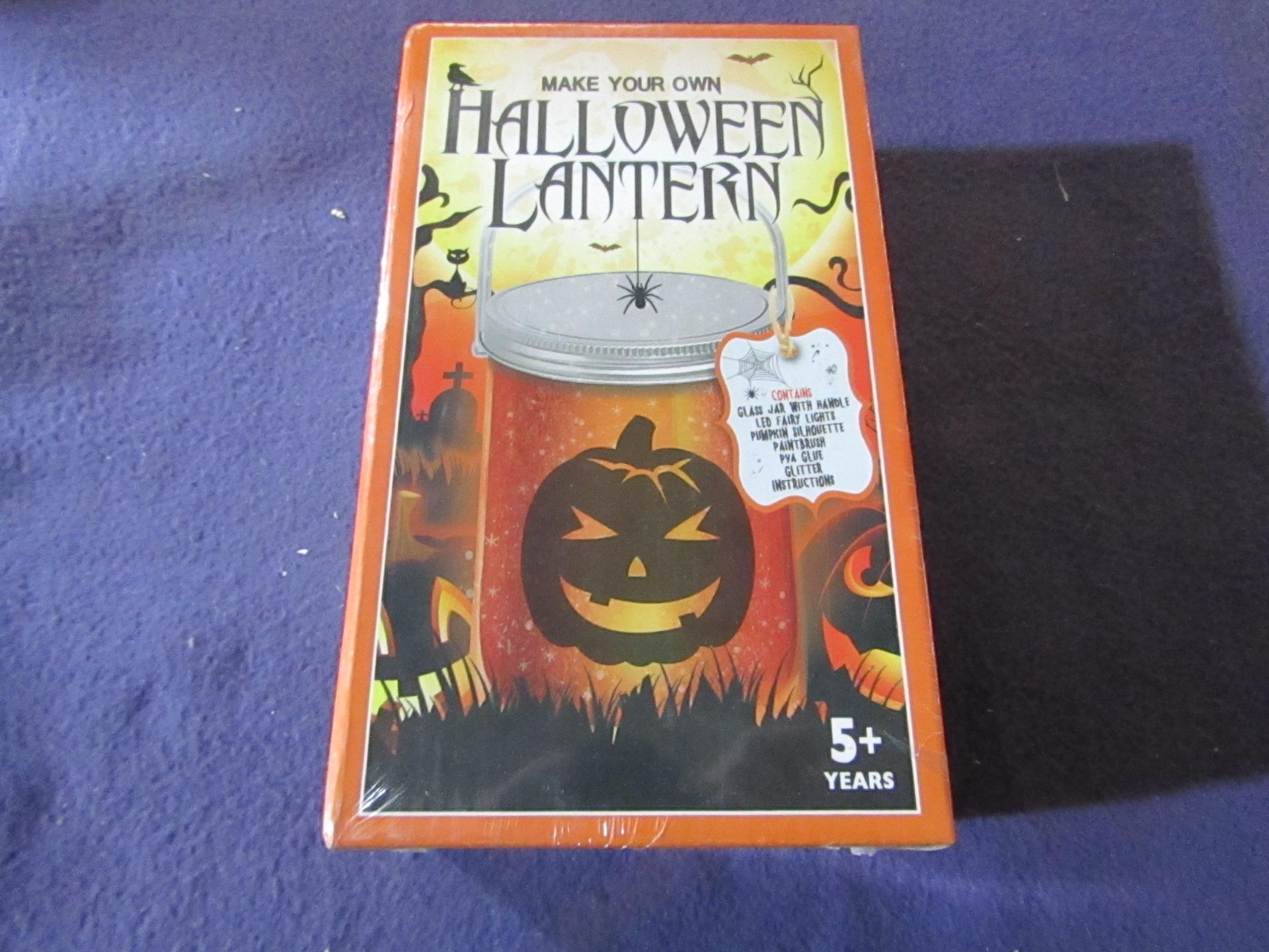 Make Your Own Halloween Lantern - Unused & Packaged.
