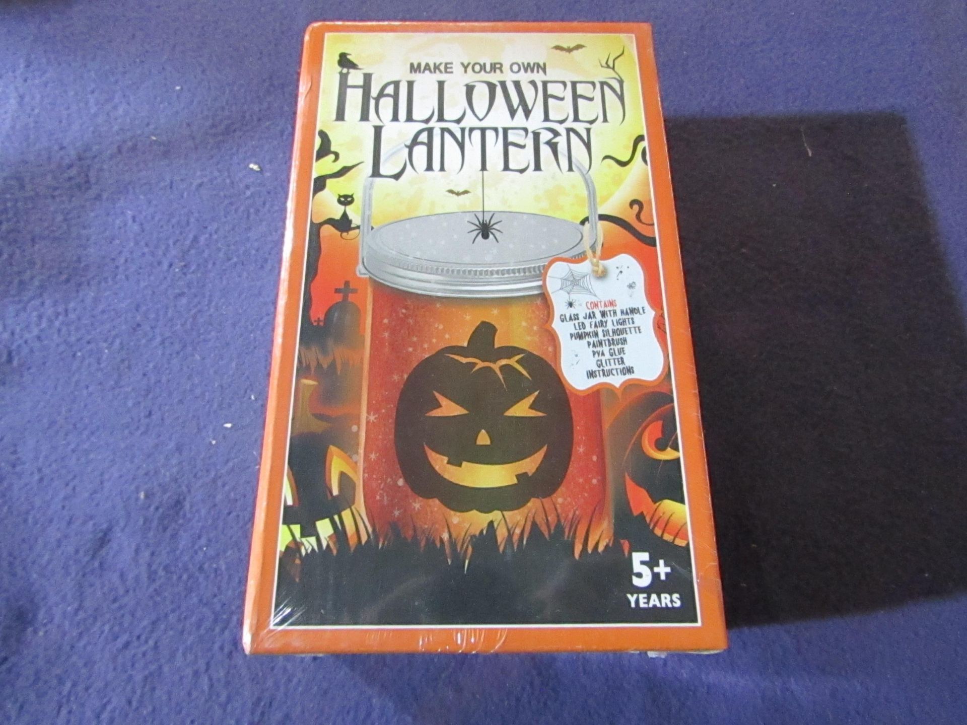 Make Your Own Halloween Lantern - Unused & Packaged.