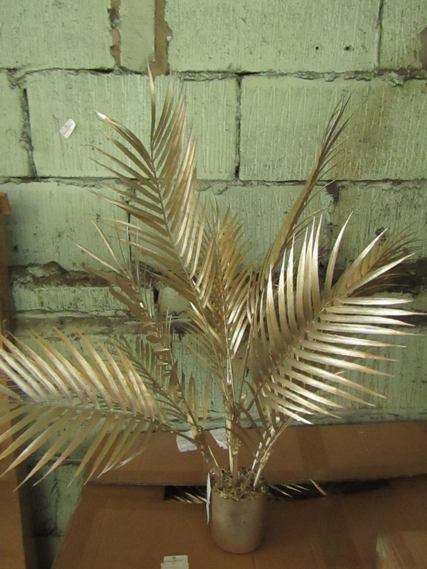 Rowen Group Brynn Medium Champagne Potted Palm Tree RRP Â£44.00 Brynn Medium Champagne Potted Palm