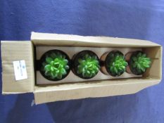 Set of 4 Artificial Plants With Pots - Unused & Boxed.