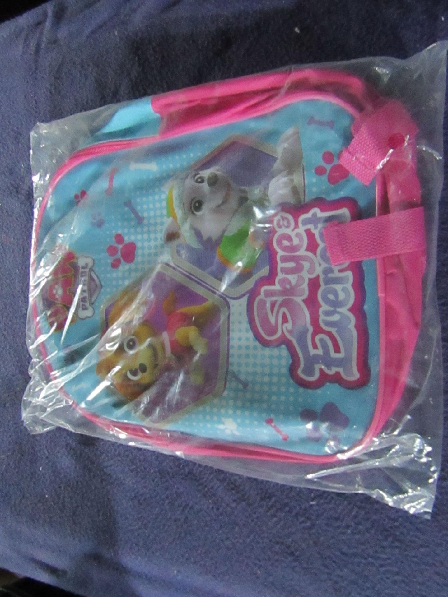 Paw Patrol - Skye & Everest Backpack - Unused & Packaged.