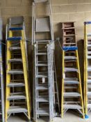 (3) Various Rung Ladders With Modern Safety Extensions