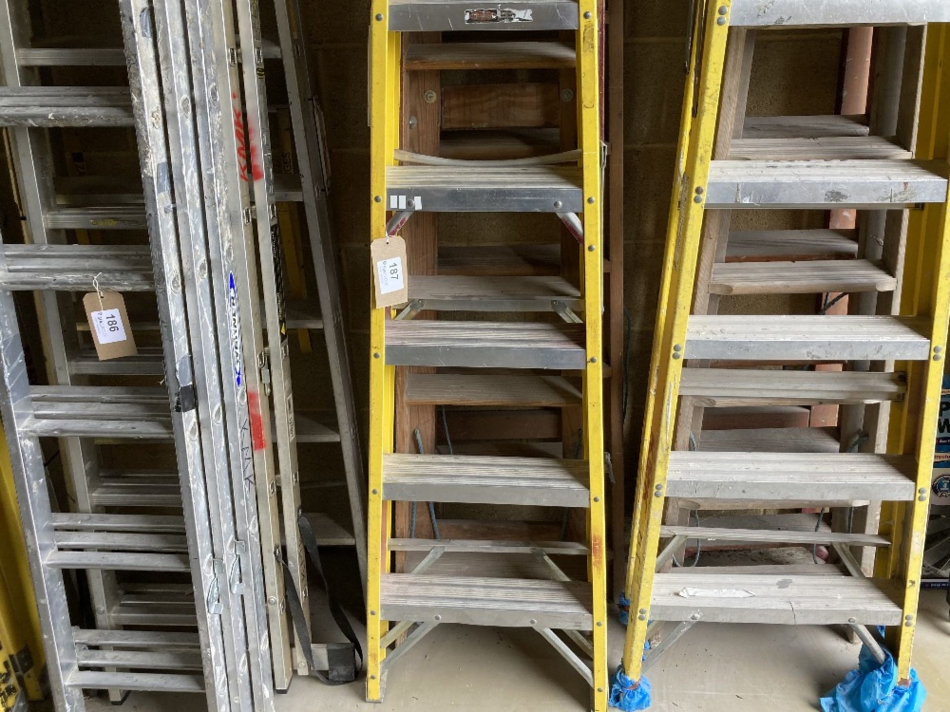 (3) Various Rung Ladders With Modern Safety Extensions - Bild 3 aus 3