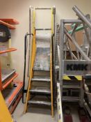 (3) Various Rung Ladders With Modern Safety Extensions