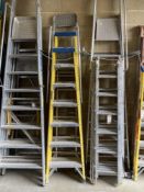 (3) Various Rung Ladders With Modern Safety Extensions