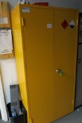 Two Door Metal Inflammables Cabinet With Contents