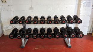 (10 Pairs) Life Fitness Dumbbells With Two Tier Rack