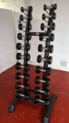 (10 Pairs) Physical Performance PU Dumbbells With Rack