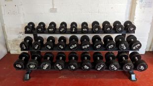 (15 Pairs) Physical Performance Dumbbells With Three Tier Rack
