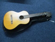 Accoustic Guitar and Case