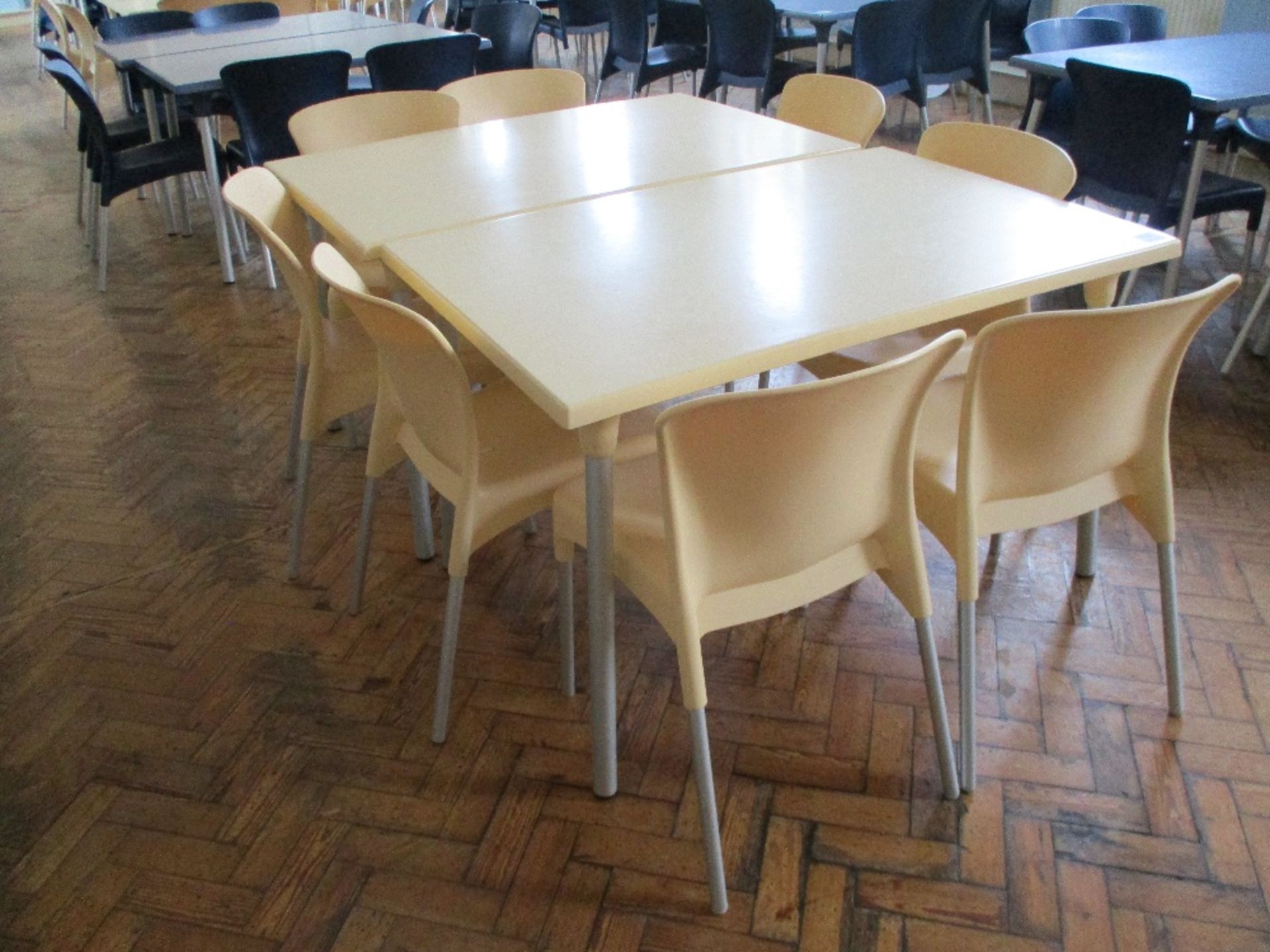 (2) Plastic Dining Tables and Chairs