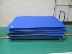 Quantity of Gym Safety Mats and Trolley