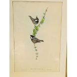 A set of nine gilt framed and glazed prints of birds by J Gould and H C Richter