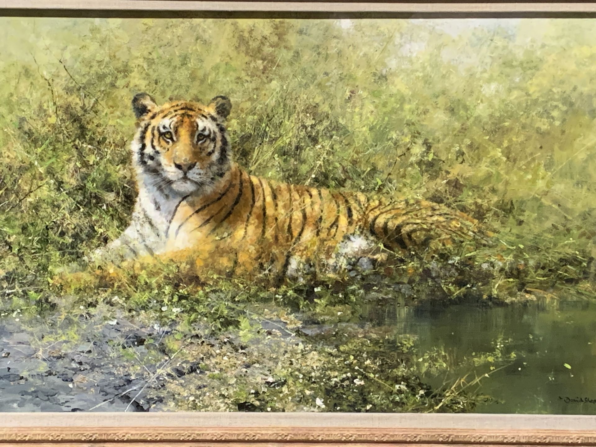 David Shepherd CBE, FRSA, FGRA (1931-2017). Framed original oil on canvas of a Tiger - Image 3 of 8