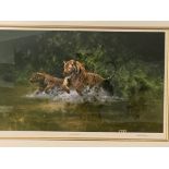 Framed and glazed limited edition print by David Shepherd