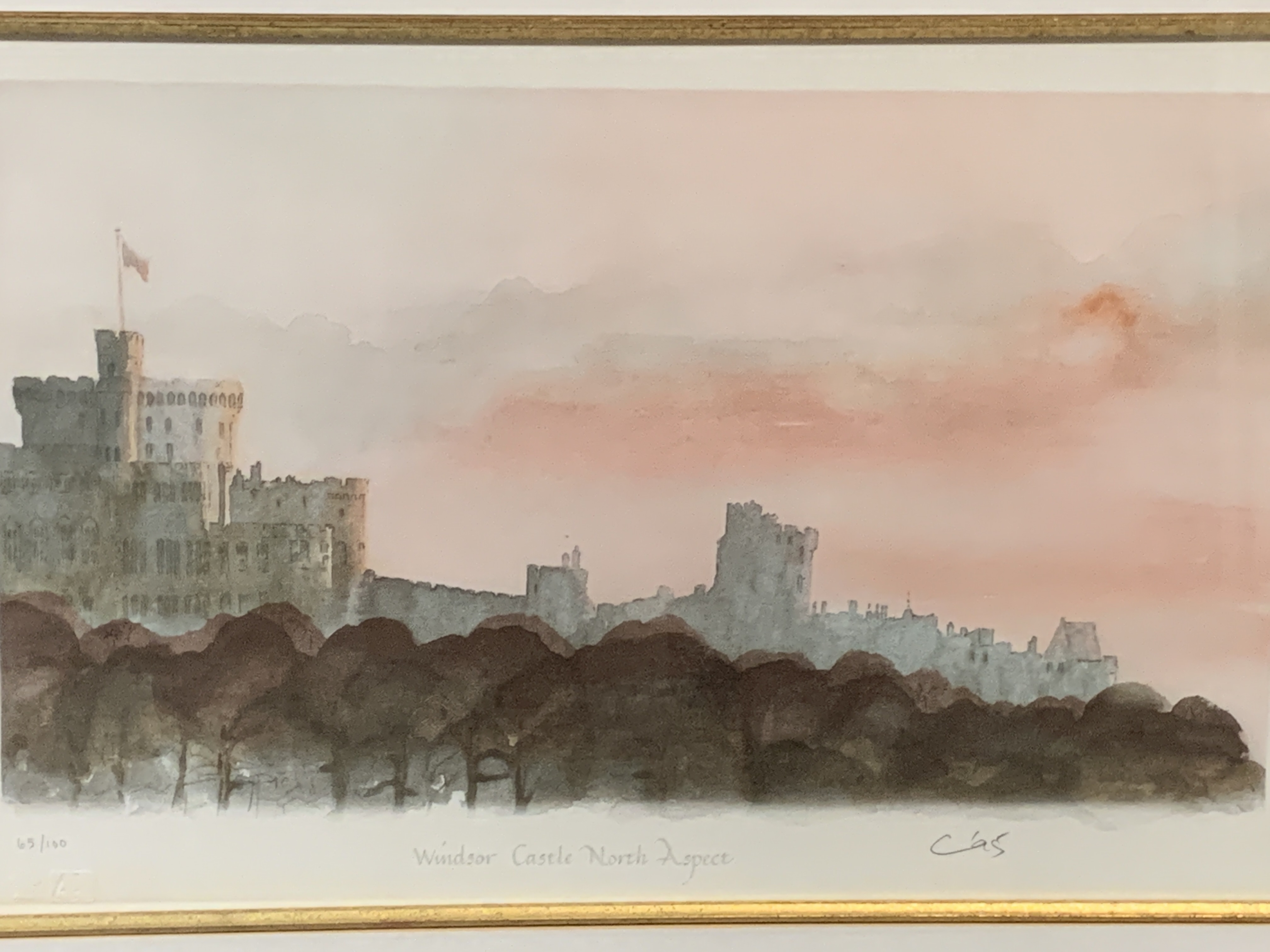 HRH The Prince of Wales: a framed and glazed limited edition lithograph, signed in pencil C '95. - Image 6 of 6