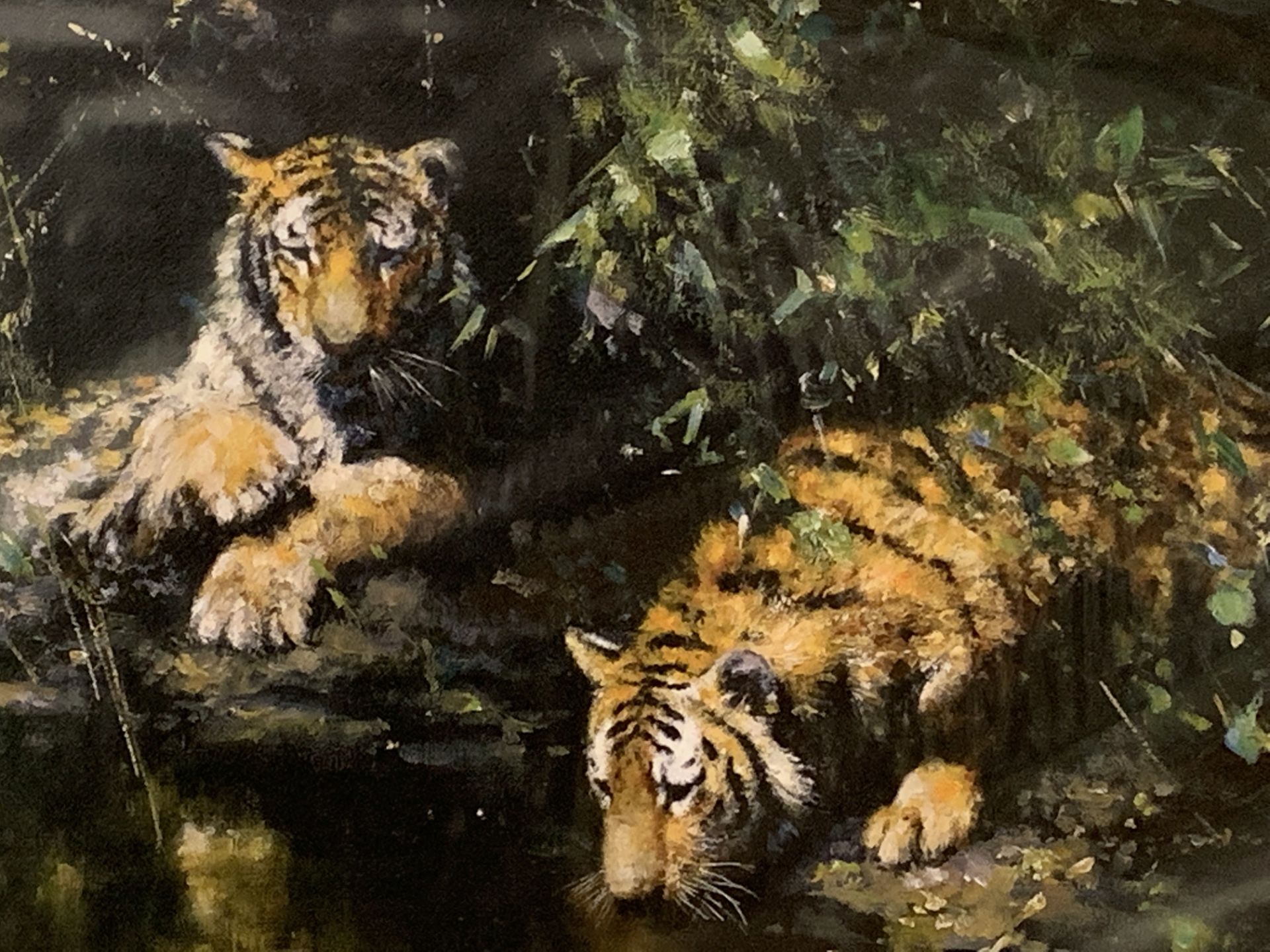 Limited edition print 'Tiger Haven', by David Shepherd, 100/1000 - Image 4 of 4