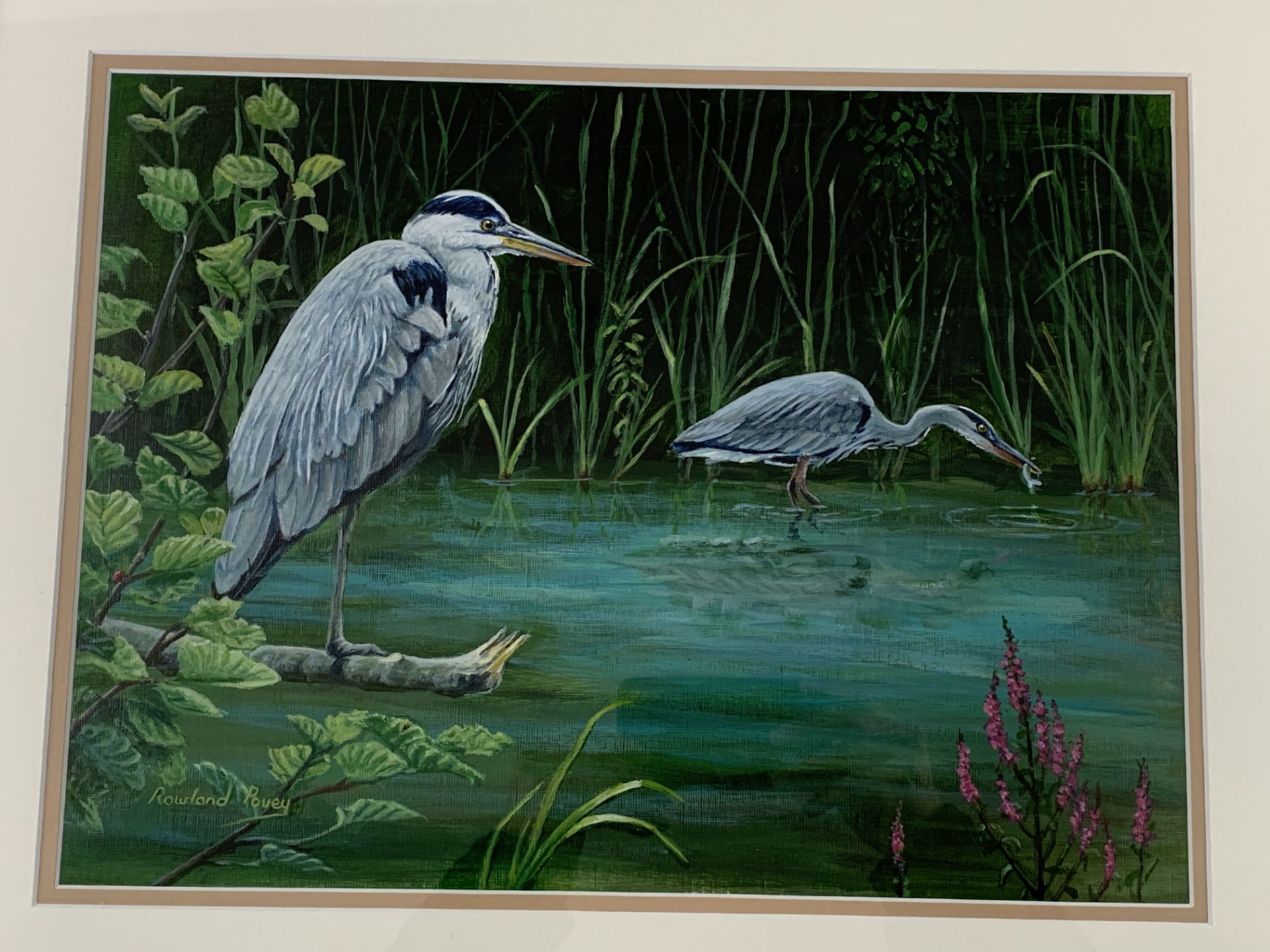 Gilt framed and glazed acrylic of a Nuthatch, together with two others - Image 3 of 3